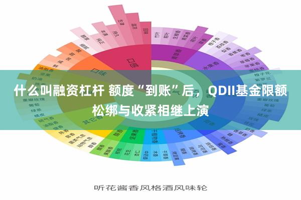 什么叫融资杠杆 额度“到账”后，QDII基金限额松绑与收紧相继上演