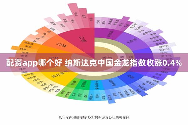 配资app哪个好 纳斯达克中国金龙指数收涨0.4%