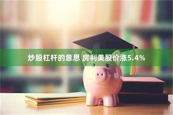 炒股杠杆的意思 房利美股价涨5.4%