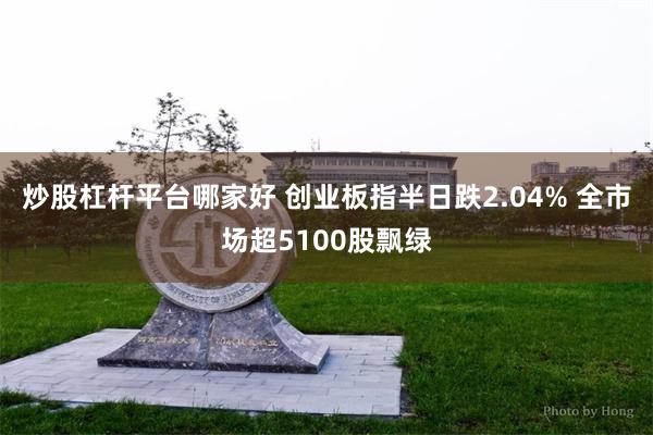 炒股杠杆平台哪家好 创业板指半日跌2.04% 全市场超5100股飘绿
